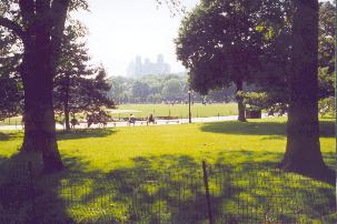 Shadow in CPark 