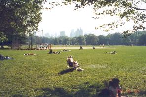 CPark baseball area